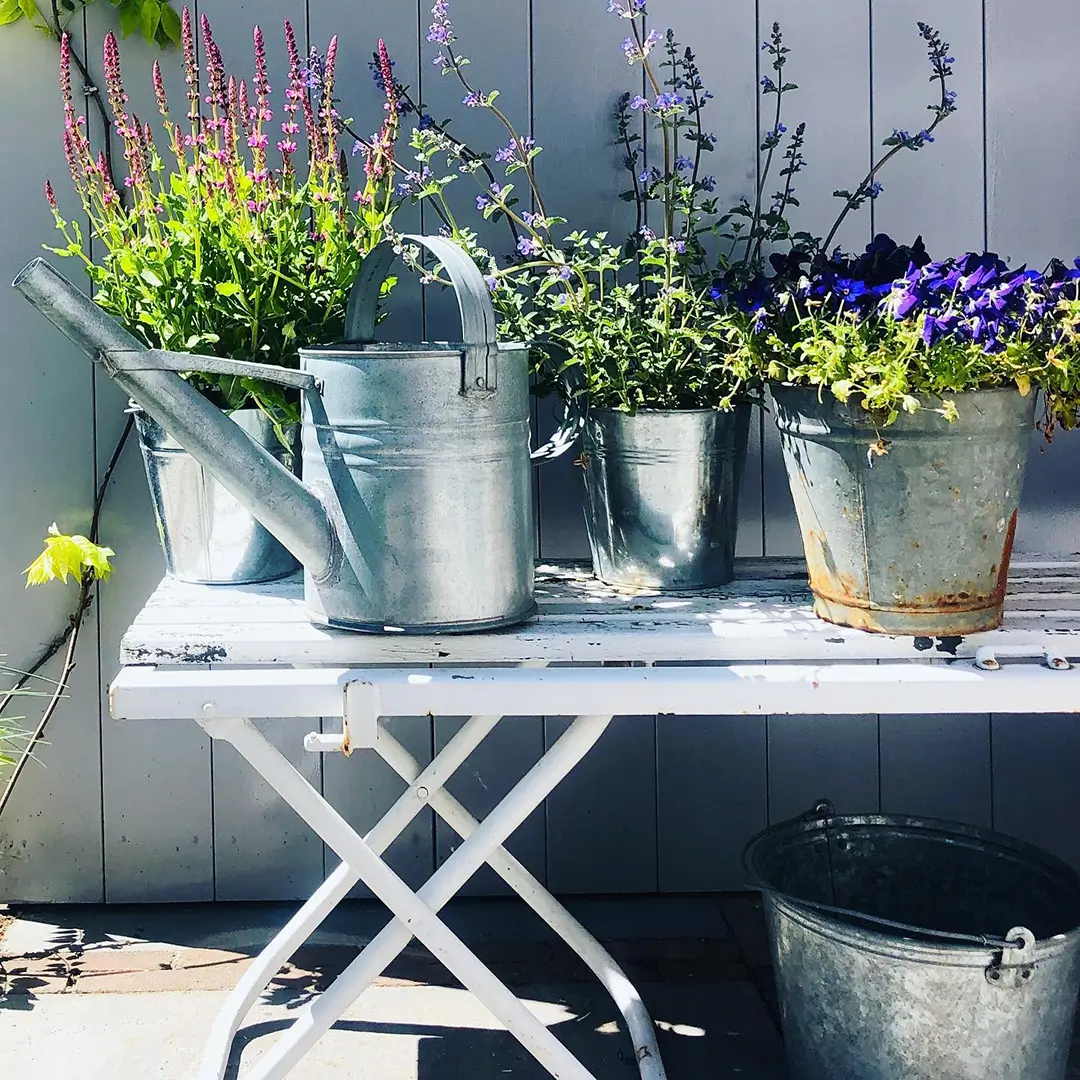 Tafel met planten en bloemen op terras